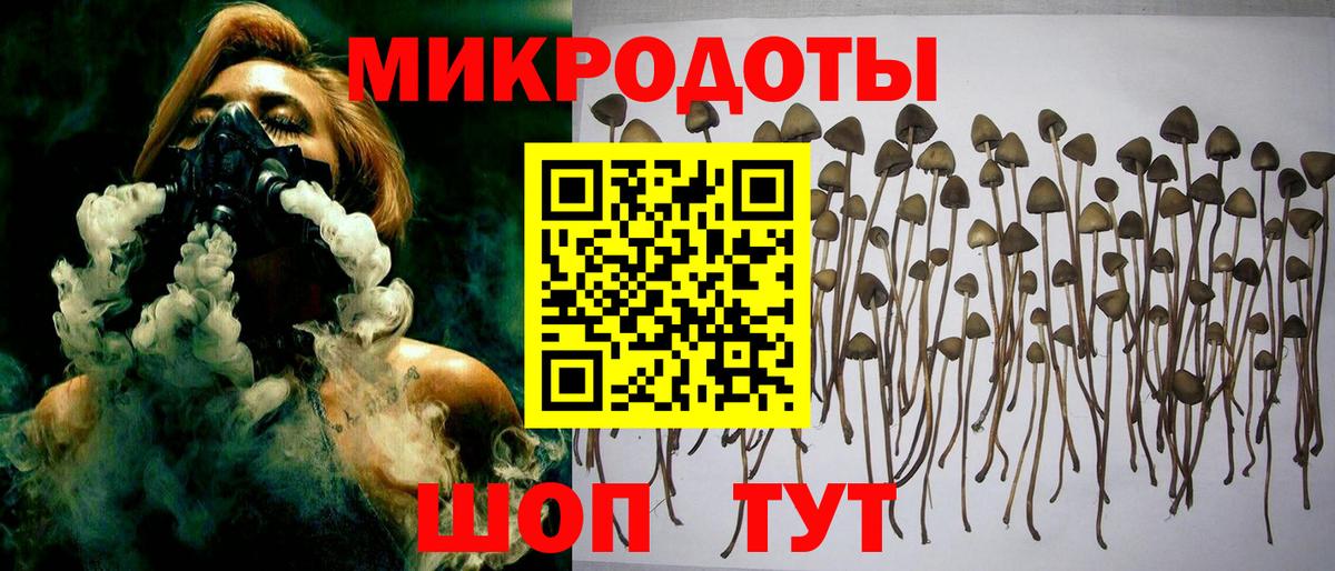 Галлюциногенные грибы Psilocybine cubensis  Галлюциногенные грибы Cubensis  Краснокаменск  наркота  Вход с VPN 