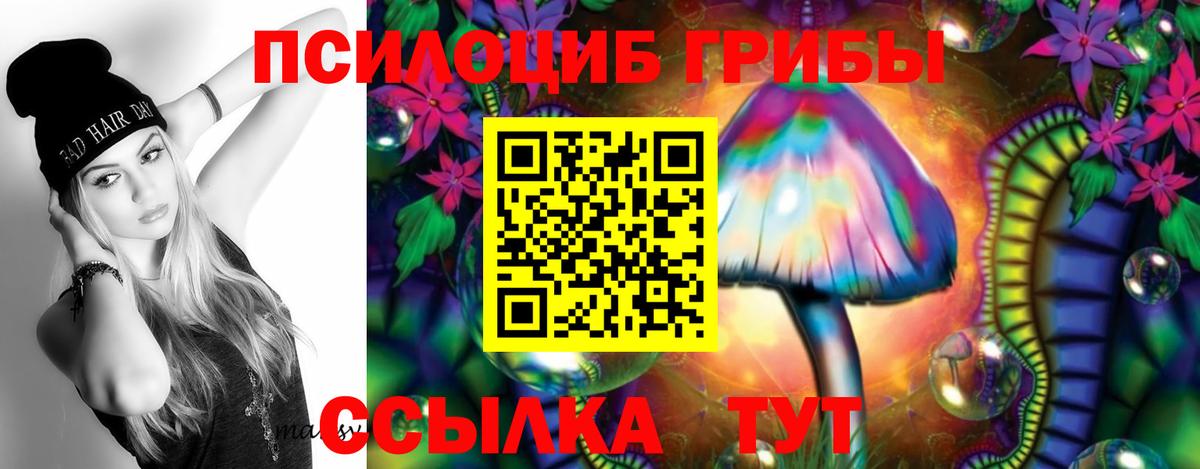 Галлюциногенные грибы Psilocybe Краснокаменск